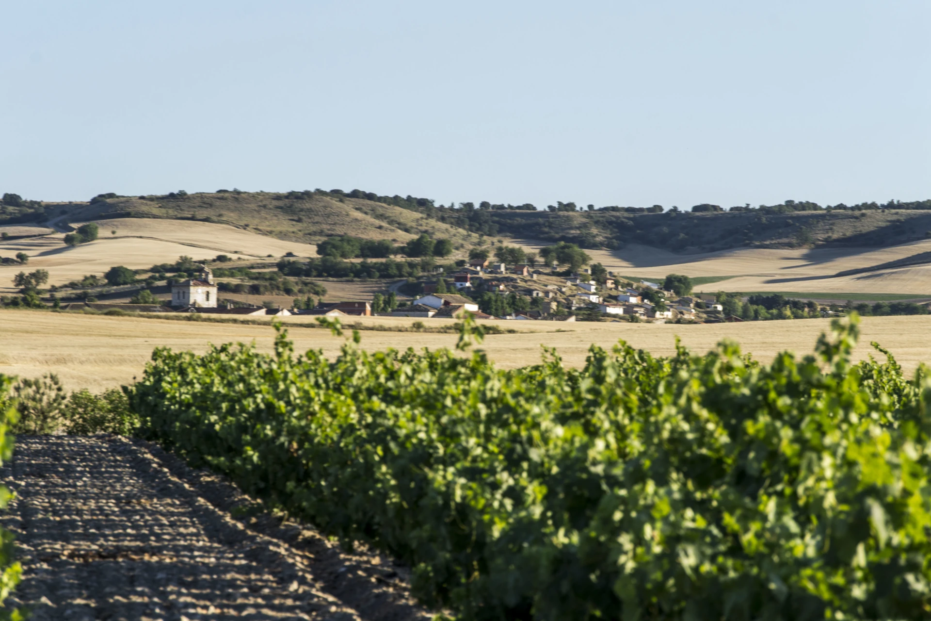 Villaviudas entre campos y viñedos