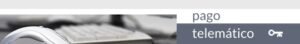 Pagos Telematico 300x44