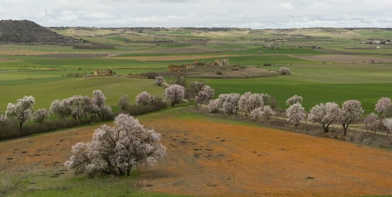 Así de bonito luce nuestro pueblo, Villaviudas, esperando la primavera