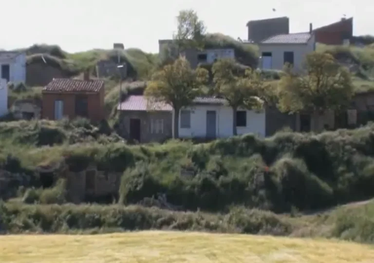 Ladera de bodegas tradicionales de Villaviudas entre la vegetación