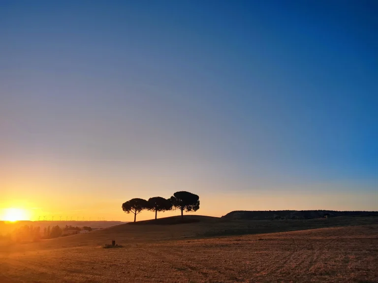 Los Tres Pinos iluminados por el sol de la tarde