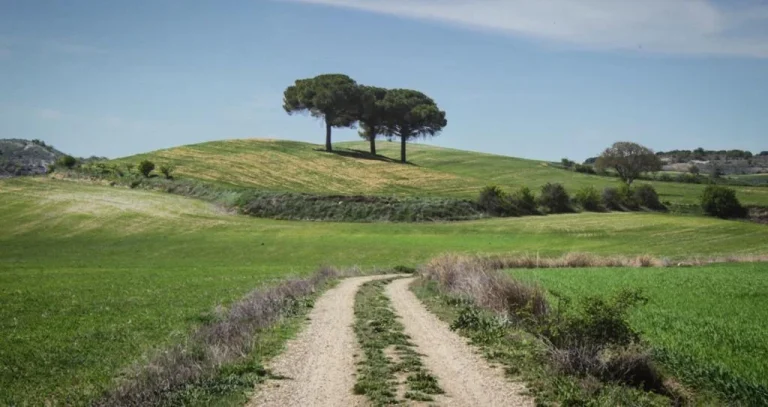 Camino rural hacia los Tres Pinos