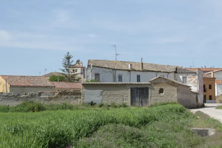 Vista de las traseras de las casas del casco urbano de Villaviudas
