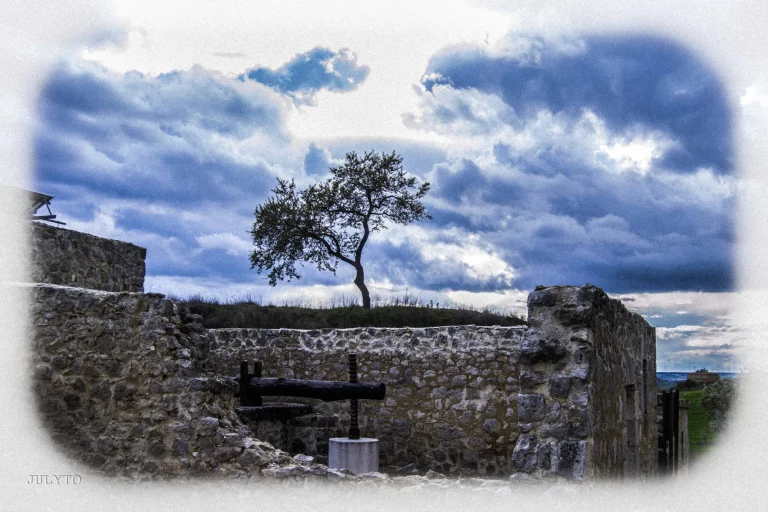 Antigua bodega de la Dehesa de Tablada con su puerta de piedra