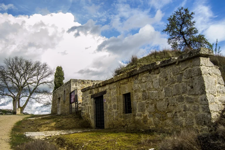 Bodega tradicional de la Dehesa de Tablada entre encinas