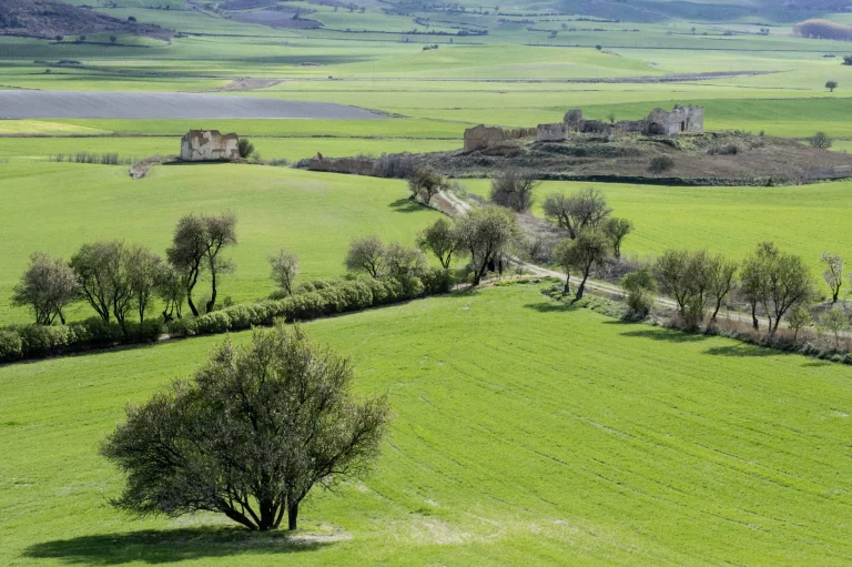 Prados y chopos de la Dehesa de Tablada en primavera