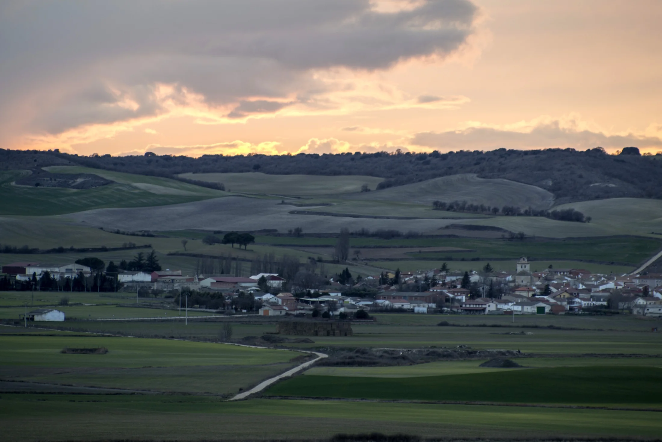Villaviudas y sus campos al atardecer